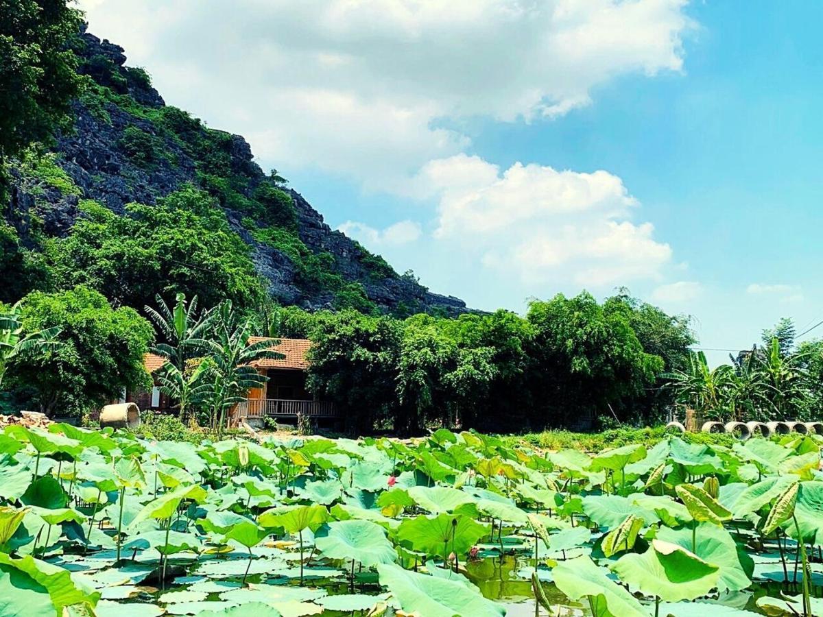 Ham Rong Homestay Ninh Bình Kültér fotó