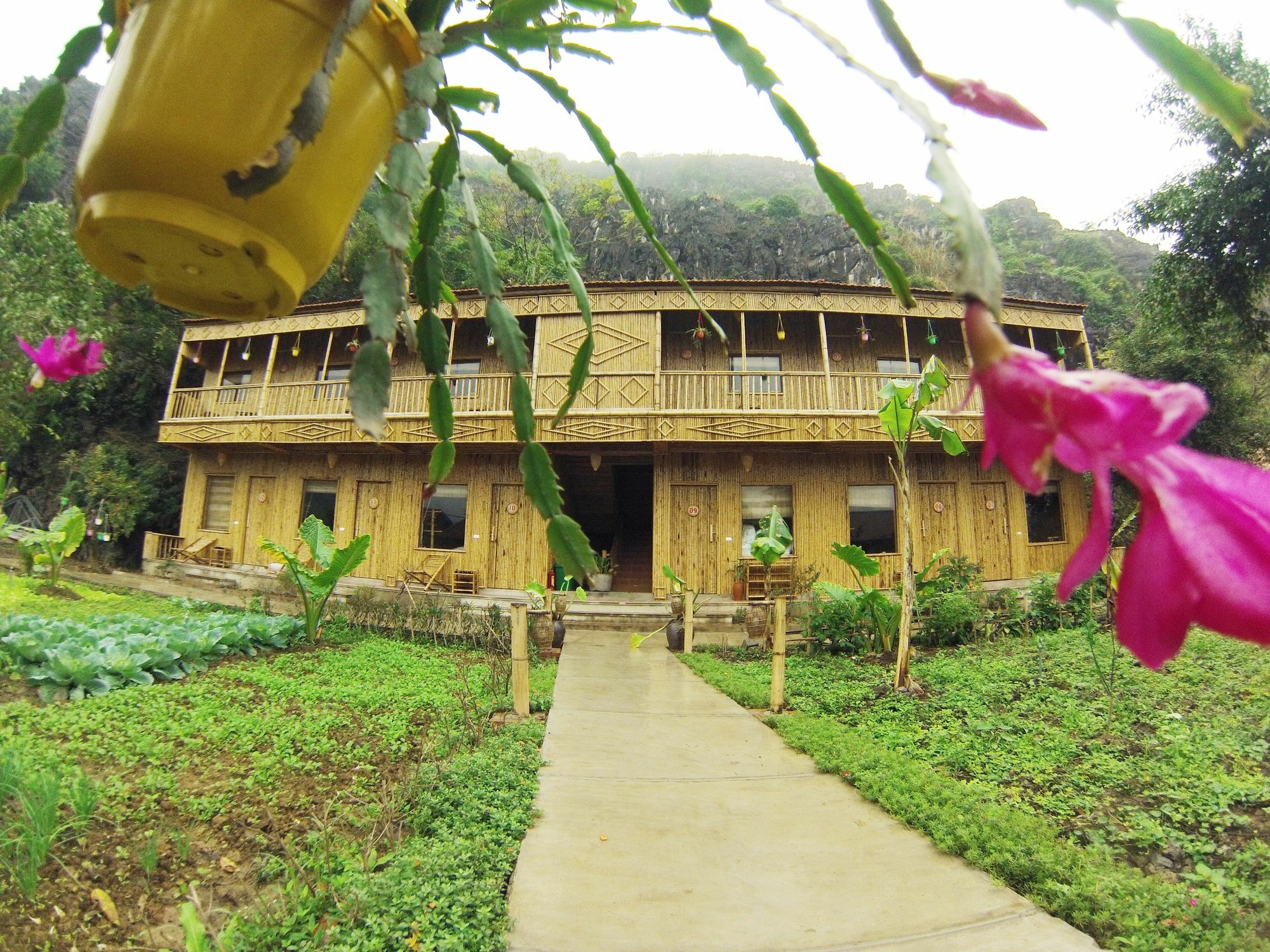 Ham Rong Homestay Ninh Bình Kültér fotó
