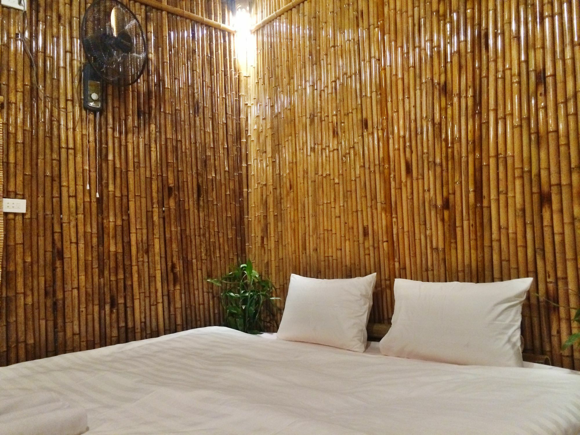 Ham Rong Homestay Ninh Bình Kültér fotó